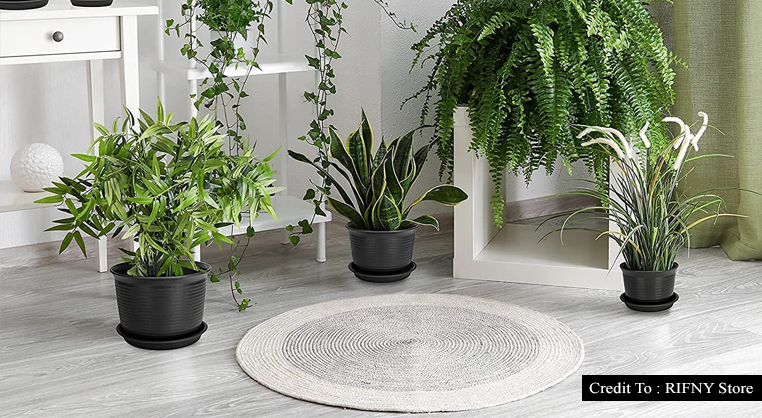 large decorative pots for indoor plants