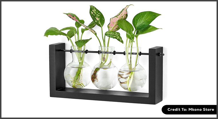 Propagation Vase